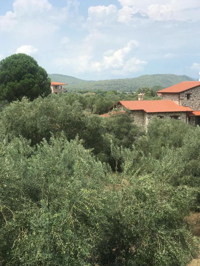 Апартаменты Olivegrove House Вурвуру Экстерьер фото