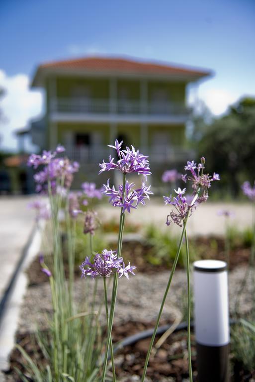 Апартаменты Olivegrove House Вурвуру Экстерьер фото