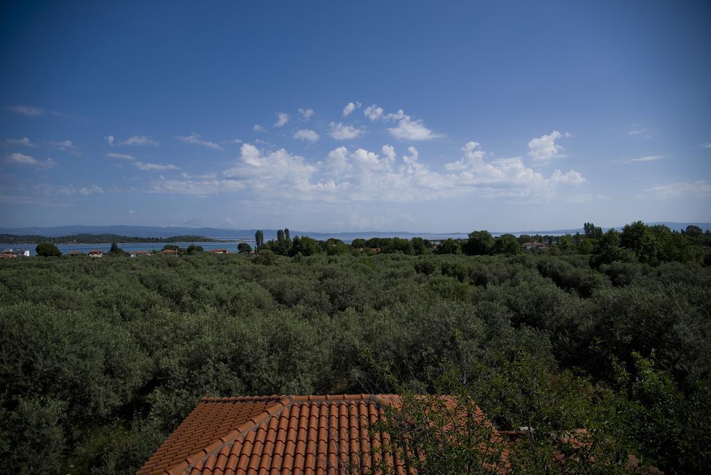 Апартаменты Olivegrove House Вурвуру Экстерьер фото